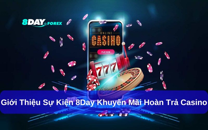 8Day Hoàn trả cược thua mỗi tuần là gì Cách nhận ưu đãi đơn giản